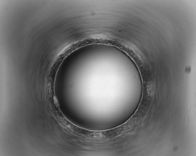 X0000099520968200805221440