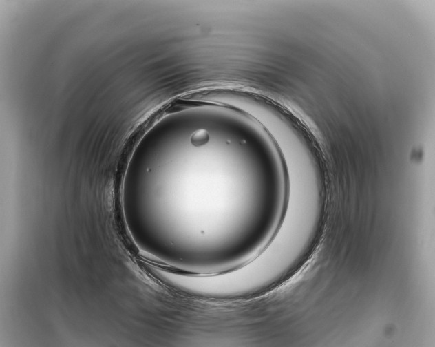 X0000099520969200805221440