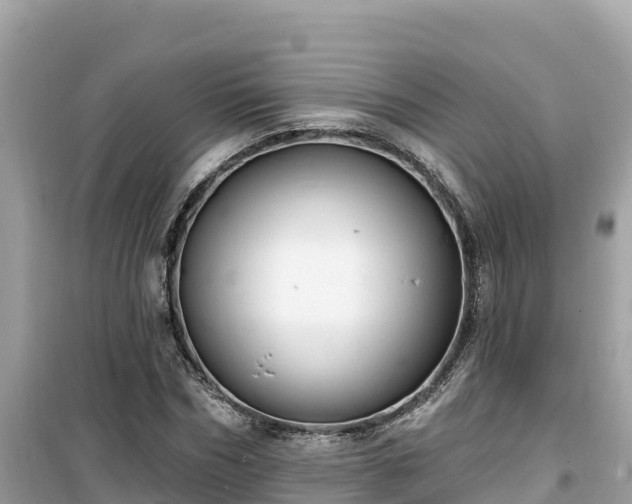 X0000099520970200805221440