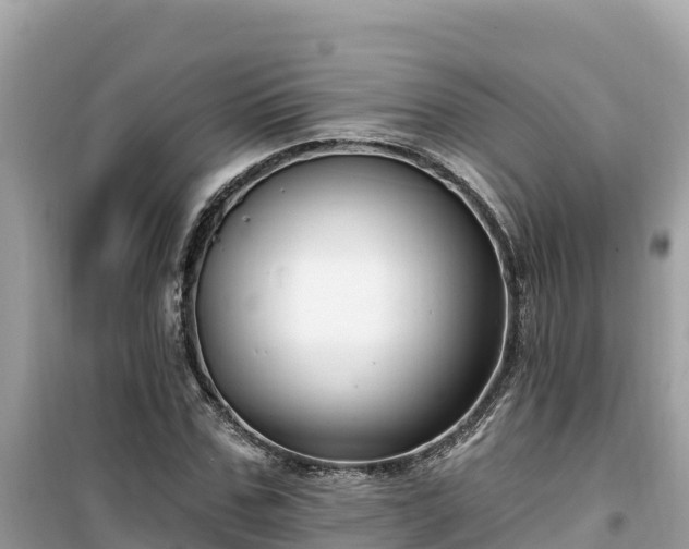 X0000099520971200805221440