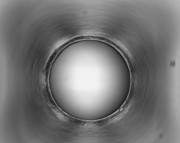 X0000099520974200805221440