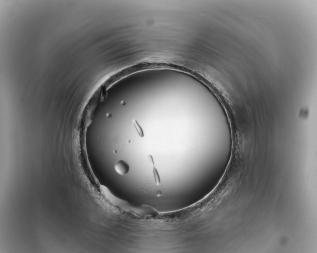 X0000099520976200805221440