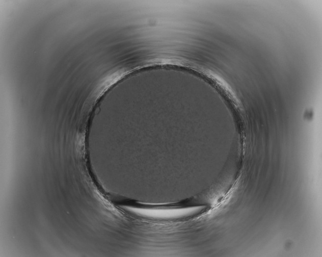 X0000099520977200805221440