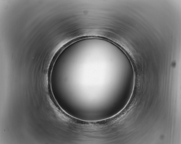 X0000099520980200805221440