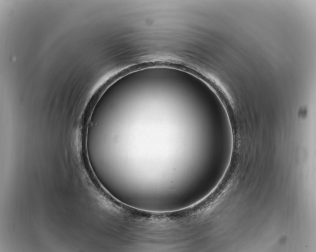 X0000099520983200805221440