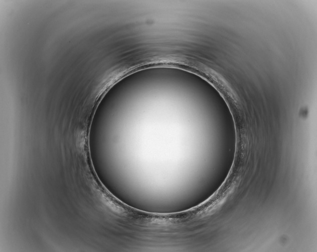 X0000099520985200805221440