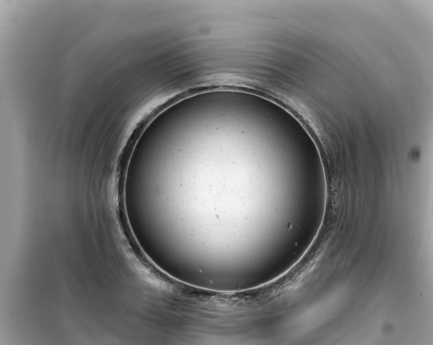 X0000099520987200805221440