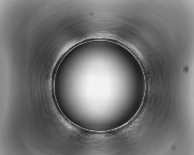 X0000099520990200805221440