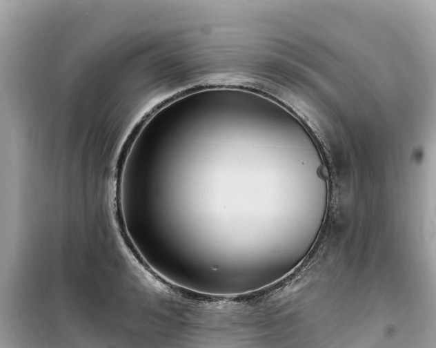 X0000099520992200805221440