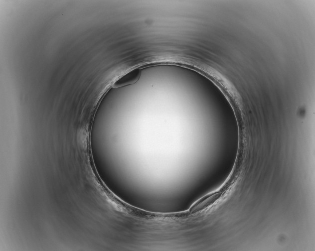 X0000099520993200805221440