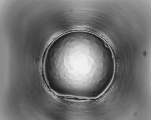 X0000099520994200805221440