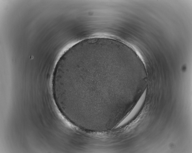 X0000099520995200805221440