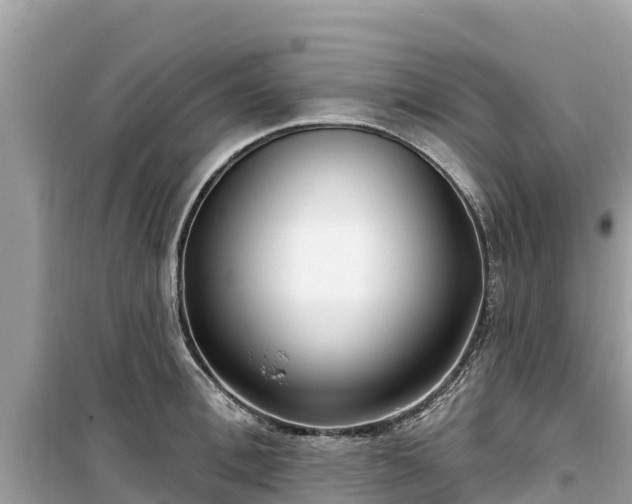 X0000099520996200805221440
