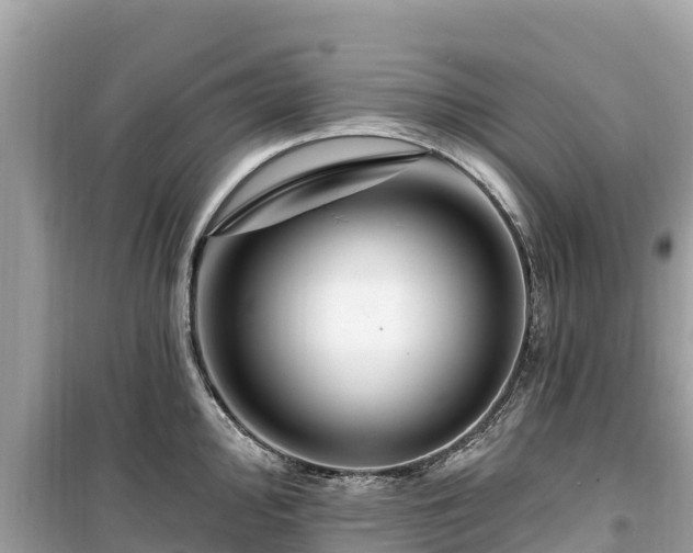 X0000099521000200805221440