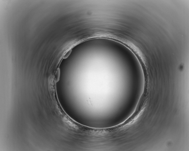 X0000099521001200805221440