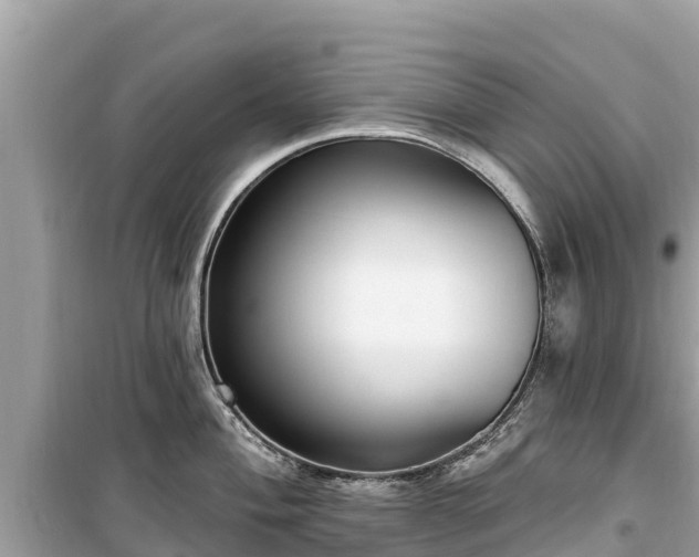X0000099521004200805221440