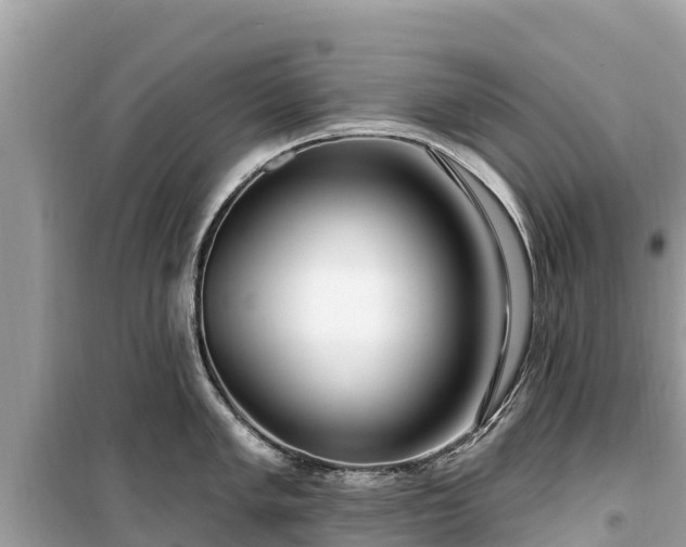X0000099521005200805221440