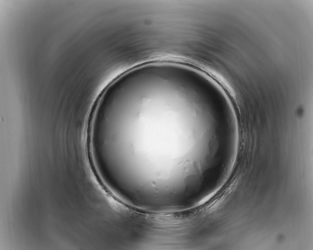 X0000099521007200805221440