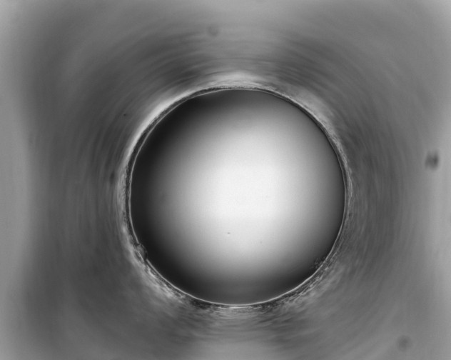 X0000099521008200805221440