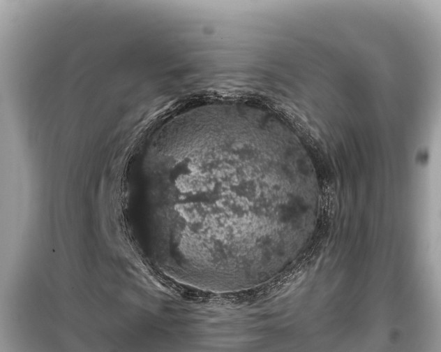 X0000099521009200805221439