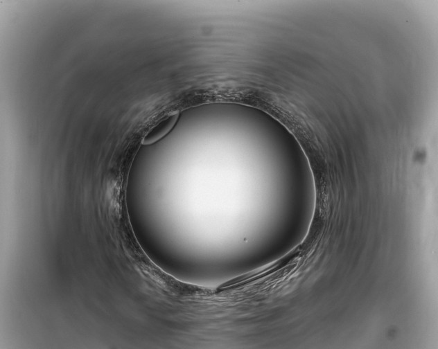 X0000099521010200805221439