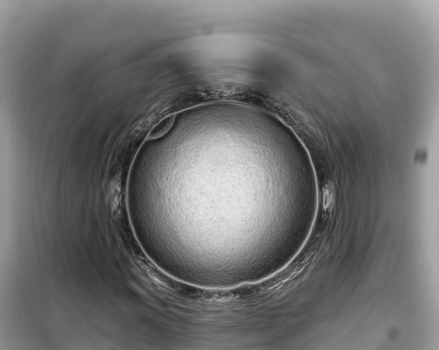 X0000099521011200805221439