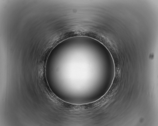 X0000099521012200805221439