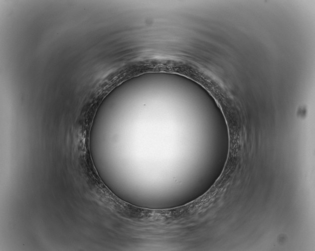 X0000099521013200805221439