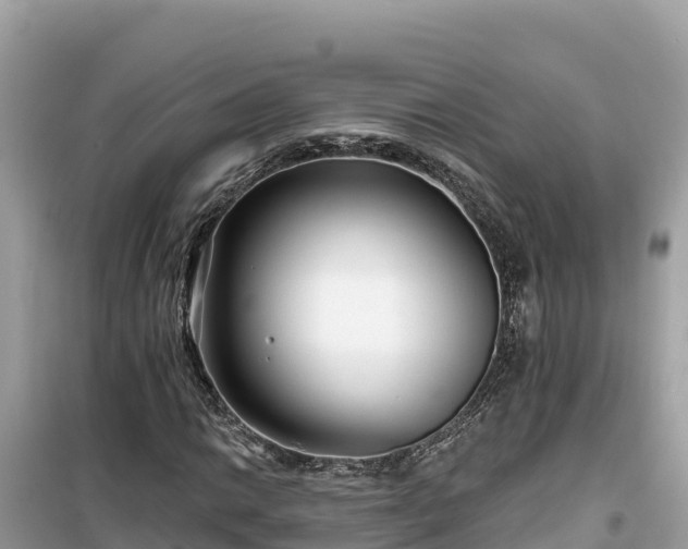 X0000099521014200805221439