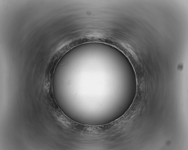 X0000099521015200805221439