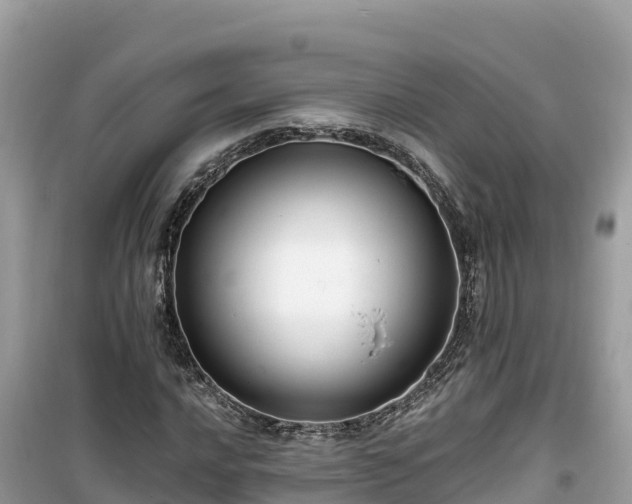X0000099521016200805221439