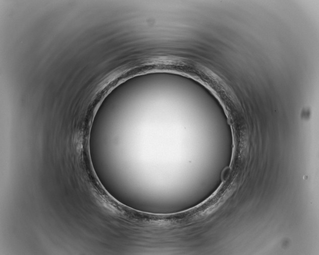X0000099521017200805221439