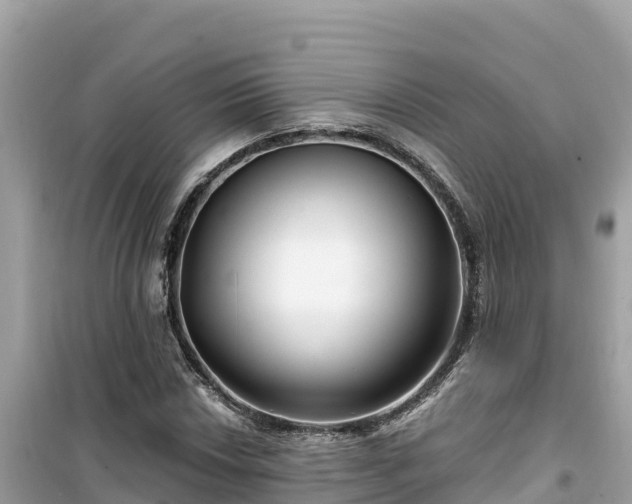 X0000099521018200805221439