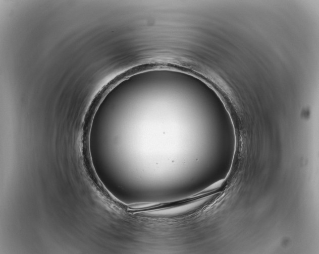 X0000099521020200805221439