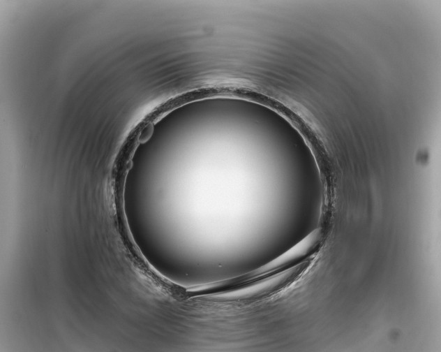 X0000099521022200805221439