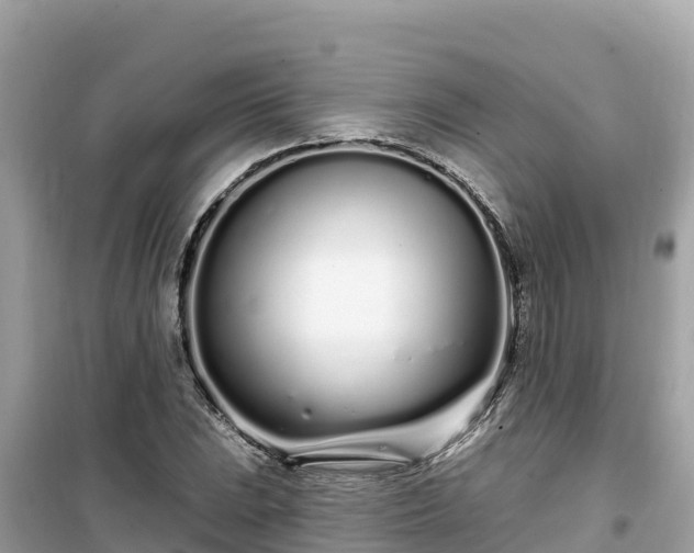 X0000099521023200805221439