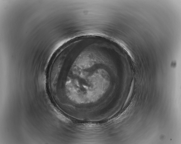 X0000099521024200805221439