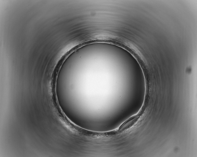 X0000099521026200805221439