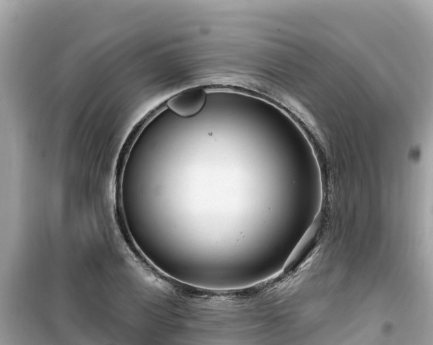 X0000099521028200805221439