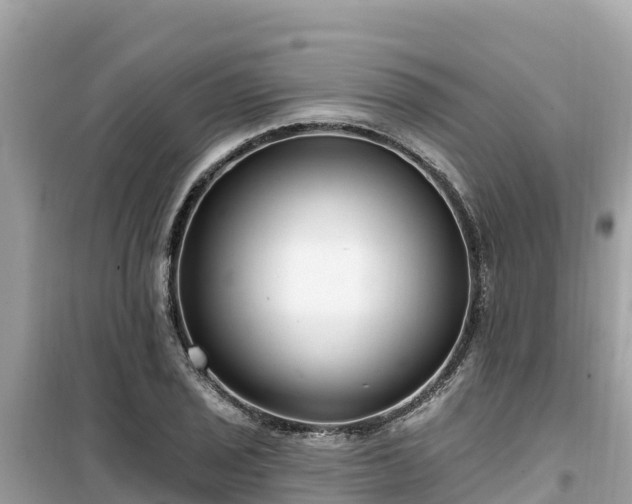 X0000099521029200805221439