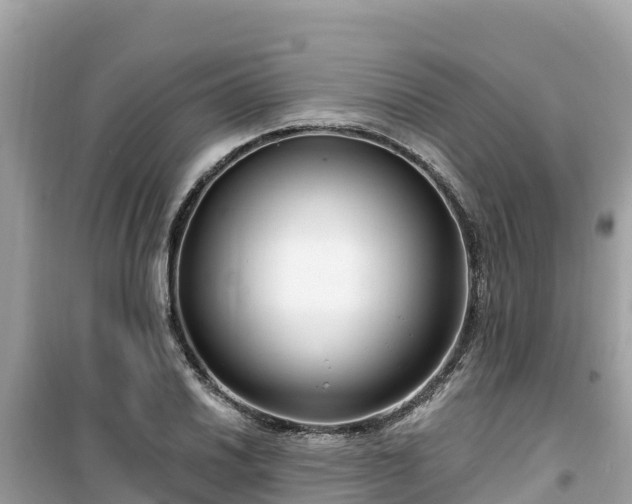 X0000099521030200805221439