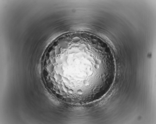 X0000099521031200805221439