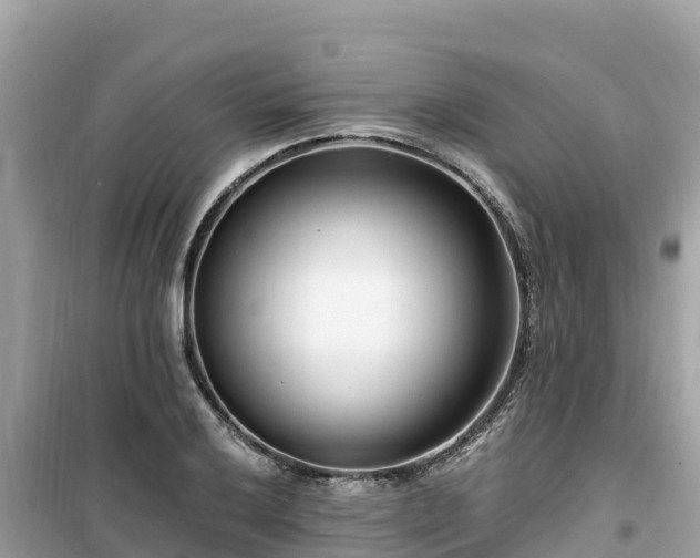 X0000099521032200805221439
