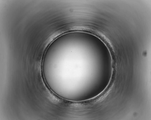 X0000099521033200805221439