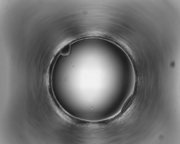 X0000099521034200805221439