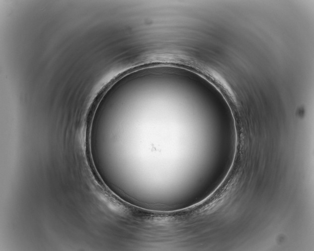 X0000099521035200805221439