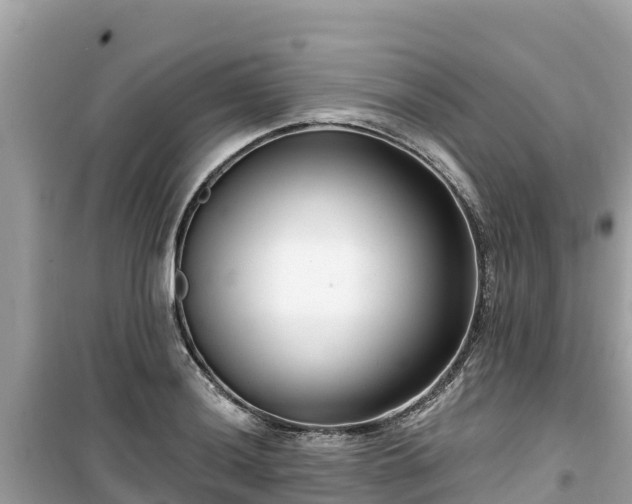 X0000099521036200805221439