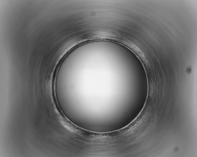 X0000099521039200805221440
