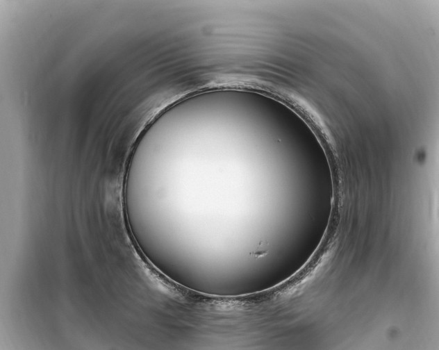 X0000099521041200805221440