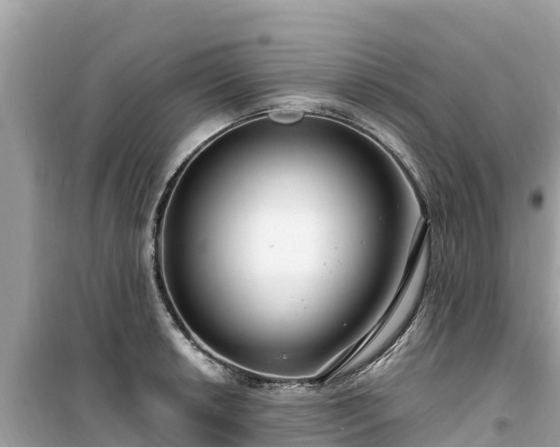 X0000099521042200805221440